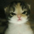 Avatar for L3SS3