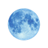 Avatar for blueblossomdays