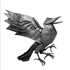 Avatar for Ravenfolds