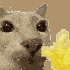 Avatar for jisukuru