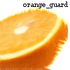 Avatar für orange_guard