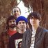 Avatar for Animal Collective