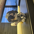 Avatar for xemieop