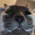 Avatar di lntol