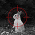 Avatar for embalmingrun