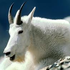 Avatar di IgHy