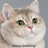Avatar for this_unfolds
