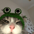 Avatar for googieffect