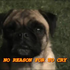 Avatar for quesadillaboner