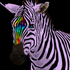 Avatar for HiPcavallo