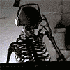 Avatar for Erzi0502