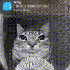 Avatar di dyxtr636