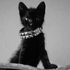 Avatar for caramel-_-
