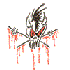 Avatar di schill__