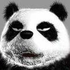 Avatar for oktony