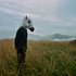 Avatar for Sparklehorse
