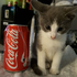 Avatar for burningcat7