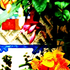Avatar for unpezmojado