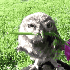 Avatar for odetoeaters
