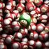 Avatar für CB186