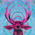 Avatar for Akeretta