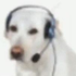 Avatar for anomalous_thing