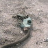 Avatar de Faust55