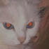 Avatar for iintaact