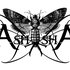 Avatar for Ash shA