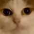 Avatar for thiccboie