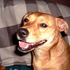 Avatar di Maisy123