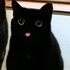 Avatar for muffinking69