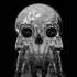 Avatar for K284