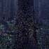 Avatar for citizen_0