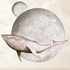 Avatar for TopSetUK