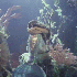 Avatar for AubLovesKorn
