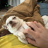 Avatar for Cdog3728