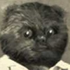 Avatar for getonmylvlpls