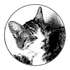 Avatar for tinderbox-heart