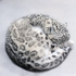 Avatar for disassembld