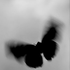 Avatar for ptwsavage
