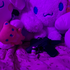 Avatar for olivecoded