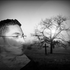 Avatar di DarkySoul