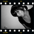 Avatar for xxflavah