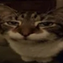 Avatar for cxadol