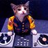 Avatar for Dj Ale}{ 71