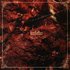 Avatar for Infetu