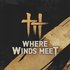 Where Winds Meet için avatar