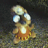 Avatar for running_blind