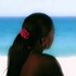 Avatar di Pursuing Paradise